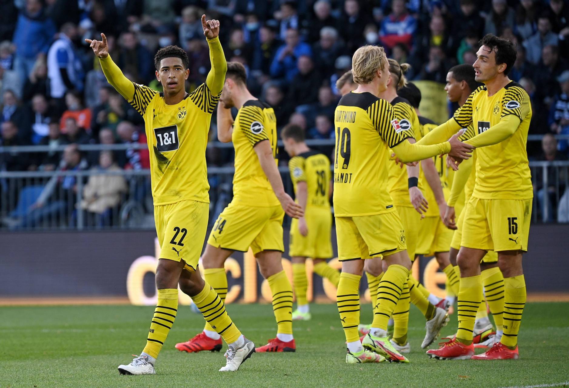 东莞家家乐食品集团画册设计案例欣赏